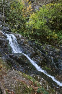 Sofia Boyana Waterfall (14) 